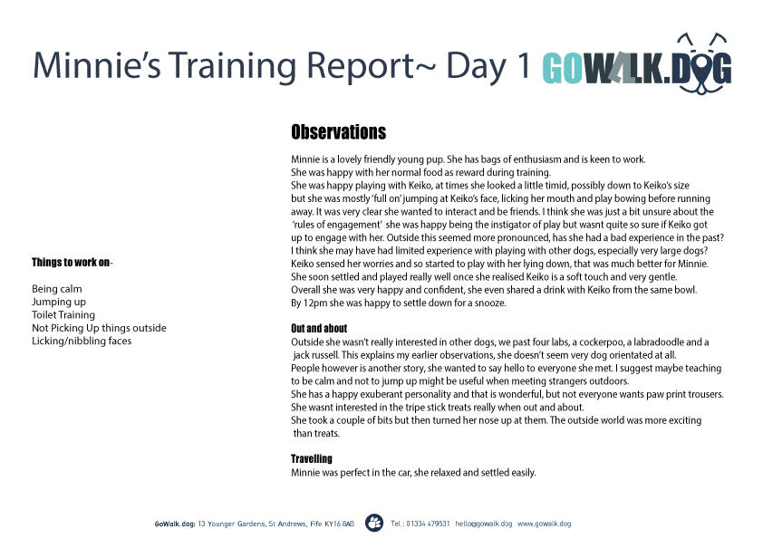 example report