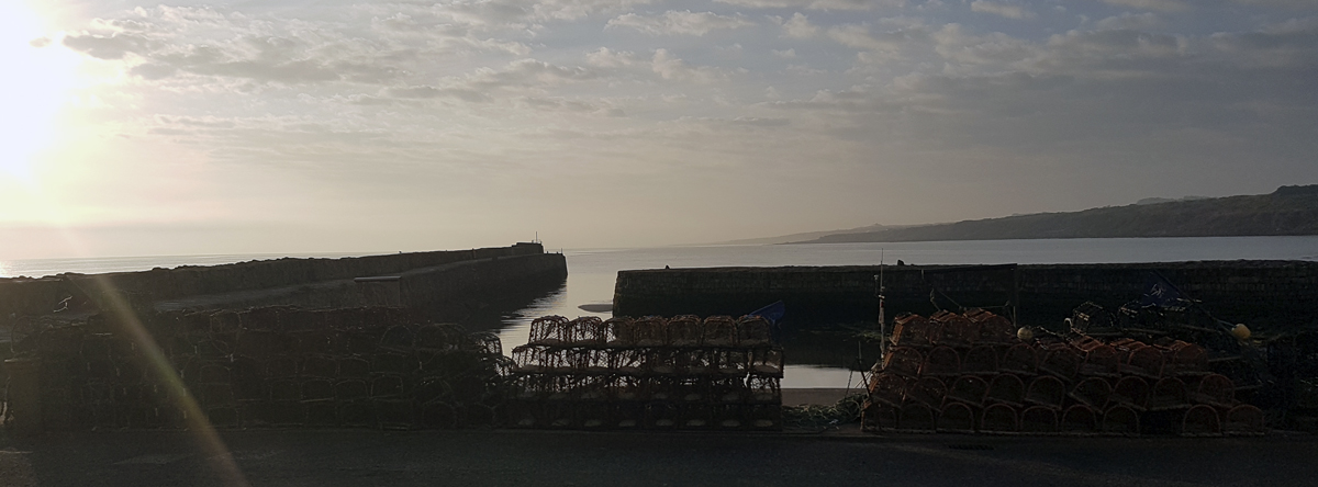 East Sands Harbour